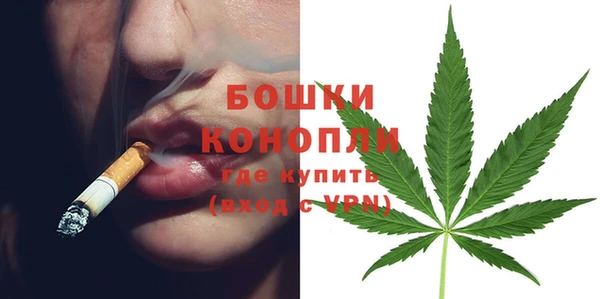 гидра Зеленокумск