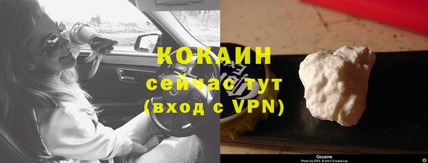 гидра Зеленокумск
