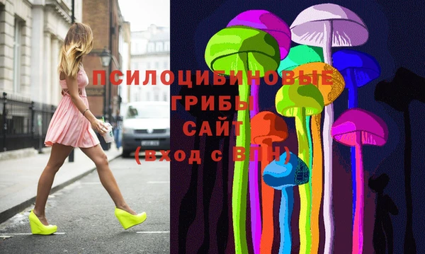 гидра Зеленокумск