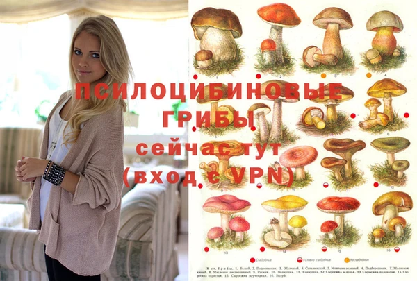 эйфоретик Зерноград