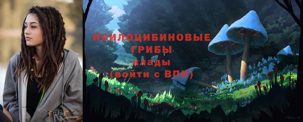 эйфоретик Зерноград