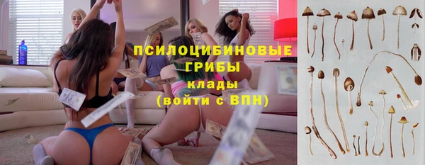 эйфоретик Зерноград