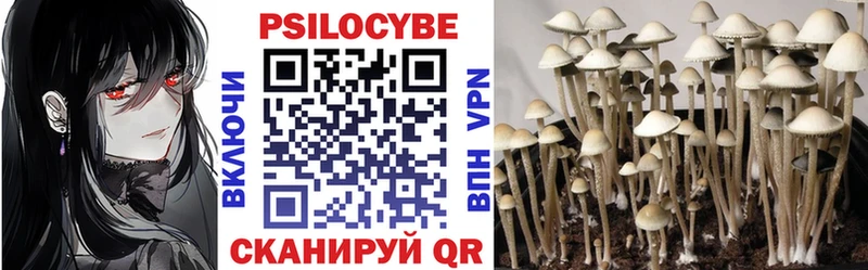 Псилоцибиновые грибы ЛСД  Купить закладки  Опочка 
