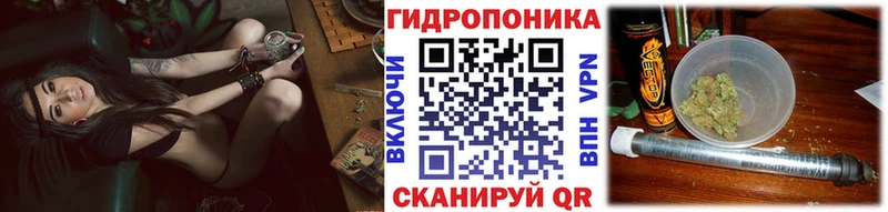 Купить где  Опочка  Каннабис OG Kush 